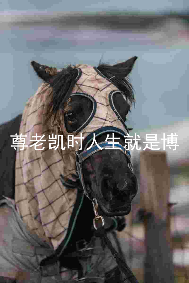 尊老凯时人生就是博